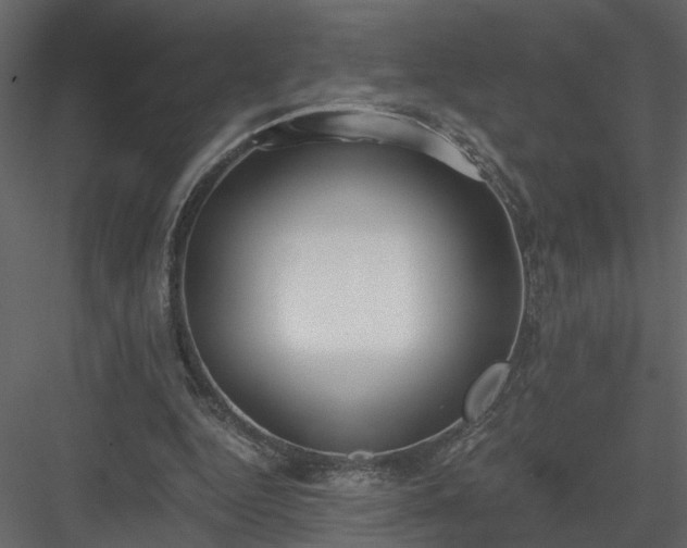 X0000084040344200702232331