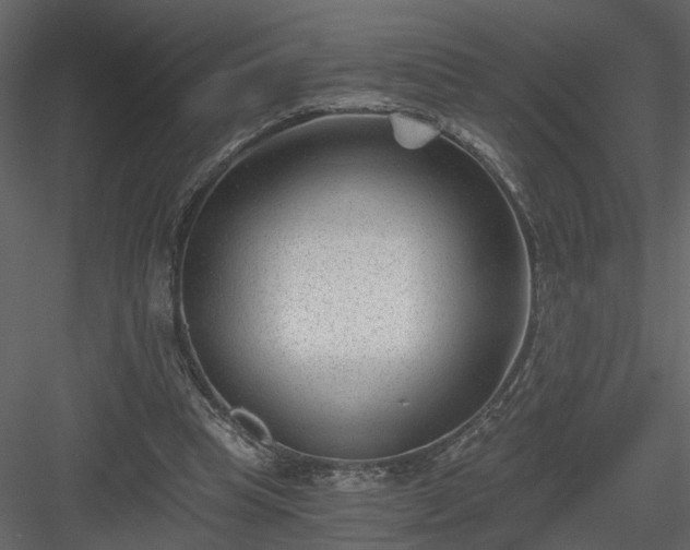 X0000084040345200702232331