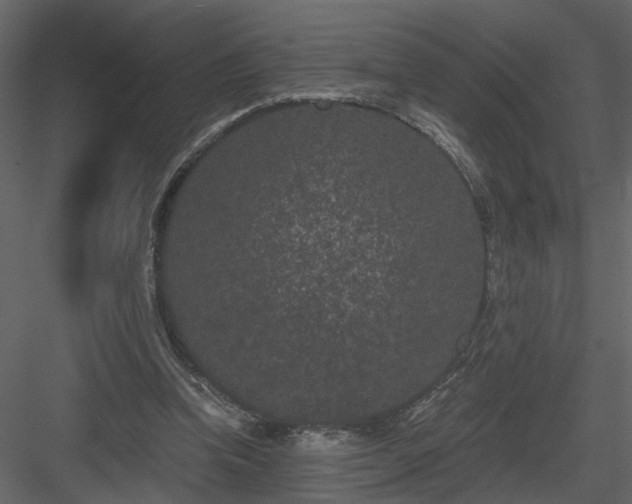 X0000084040346200702232331