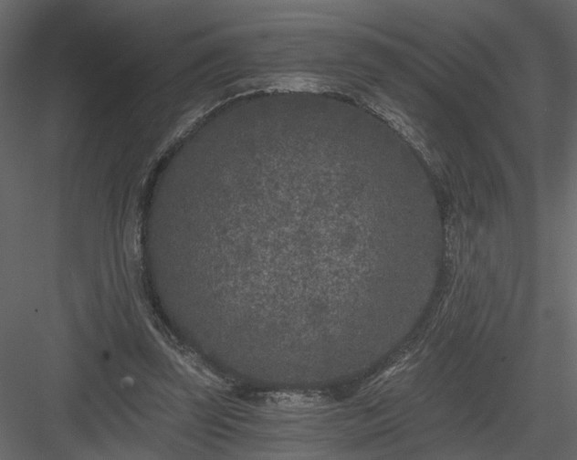 X0000084040347200702232331