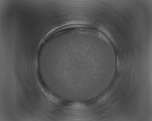 X0000084040348200702232331