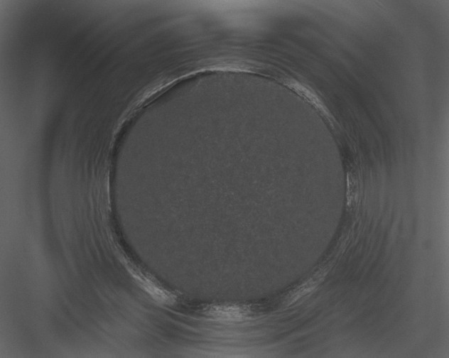 X0000084040349200702232331