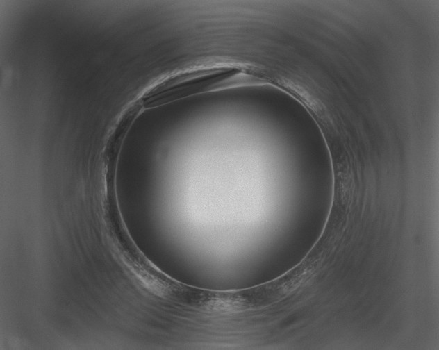 X0000084040350200702232331