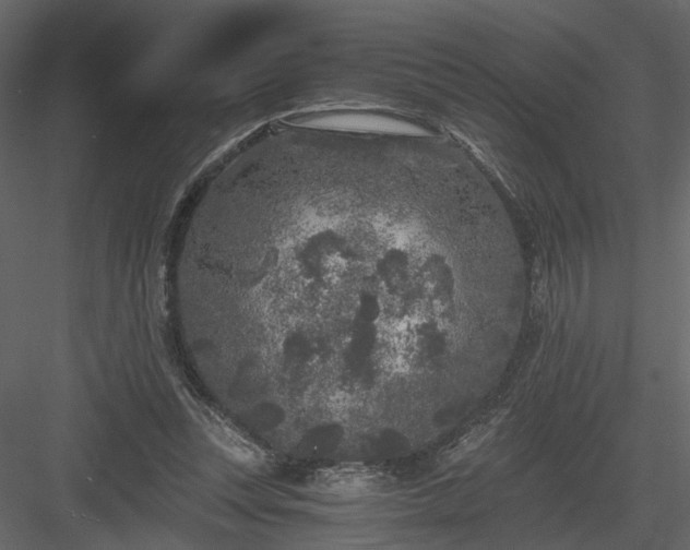 X0000084040351200702232331