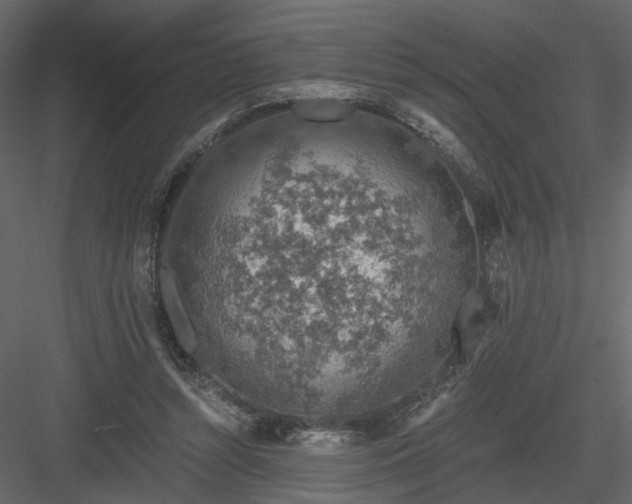 X0000084040352200702232331