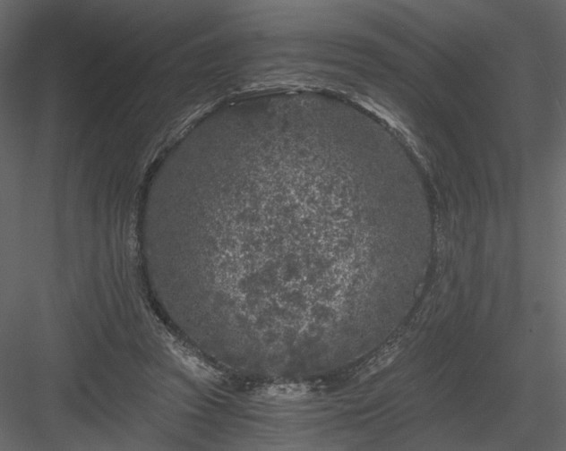 X0000084040353200702232331