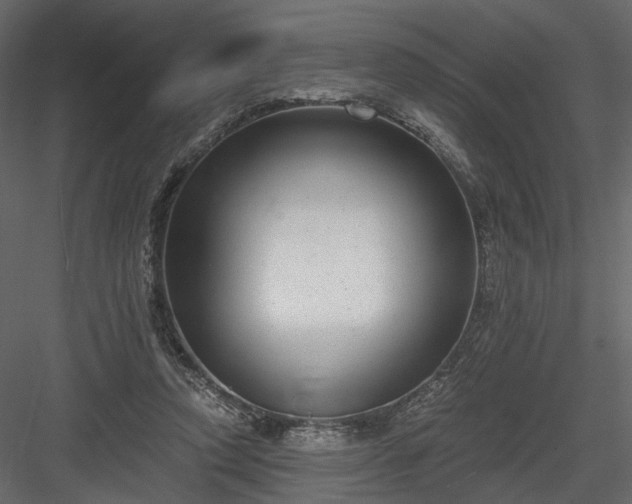 X0000084040354200702232331