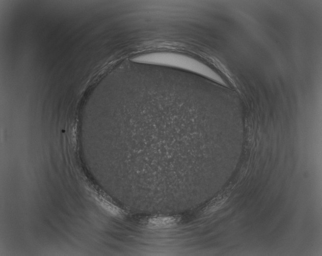 X0000084040357200702232331