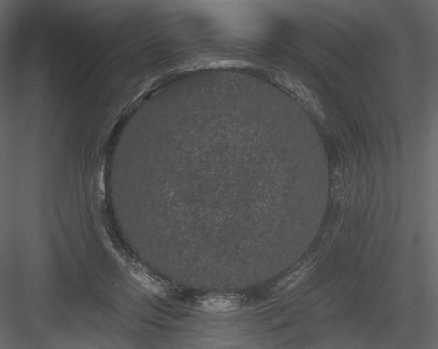 X0000084040358200702232331