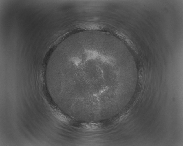 X0000084040359200702232331