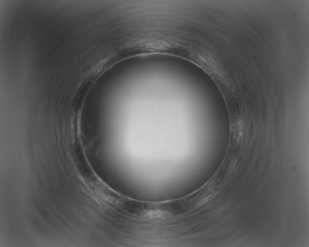 X0000084040360200702232331