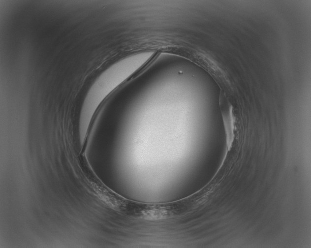 X0000084040362200702232331