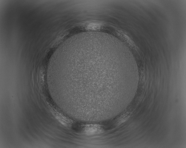 X0000084040363200702232331