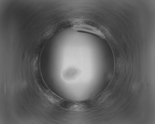 X0000084040364200702232331