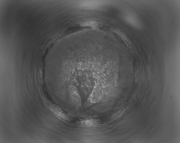 X0000084040365200702232331