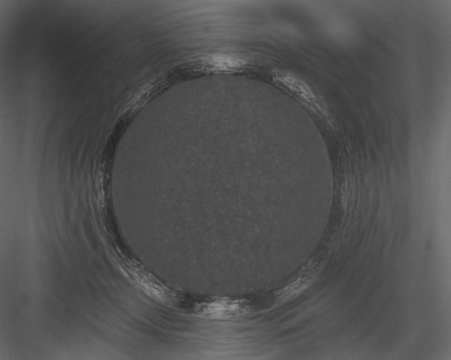 X0000084040366200702232331