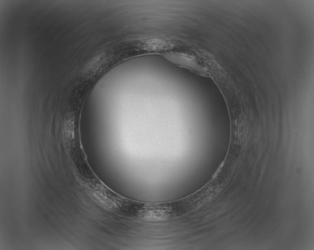 X0000084040368200702232331