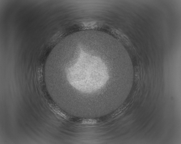 X0000084040369200702232331