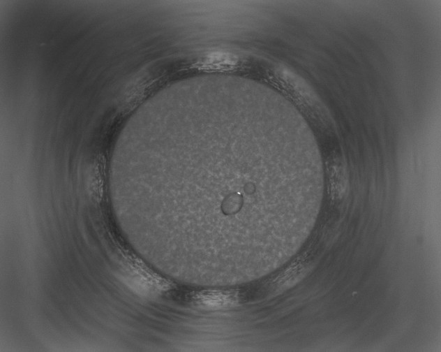 X0000084040370200702232331