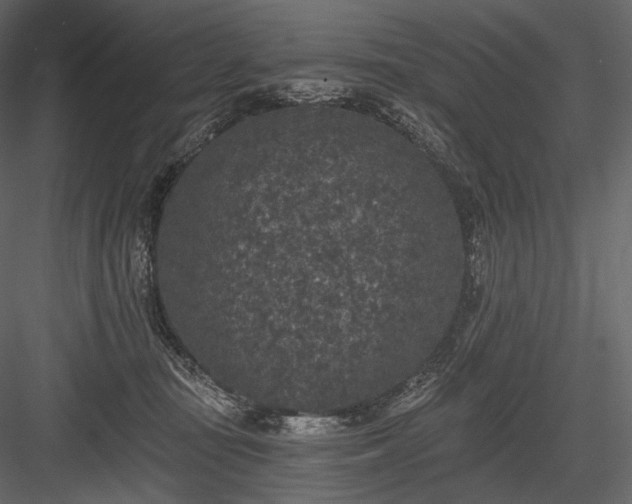 X0000084040371200702232331