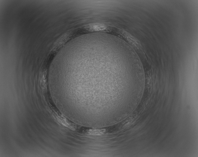 X0000084040373200702232331