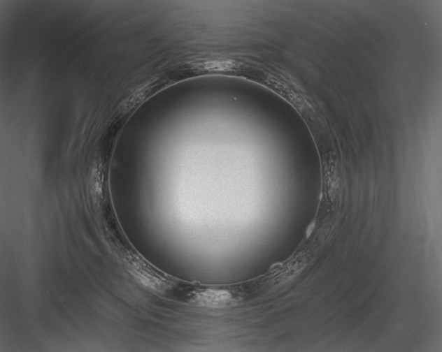 X0000084040374200702232331