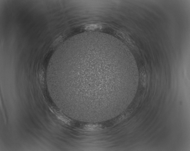 X0000084040375200702232331