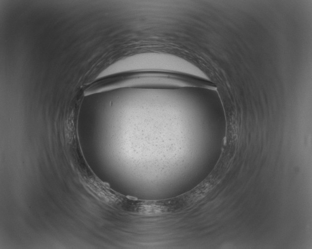 X0000084040376200702232331