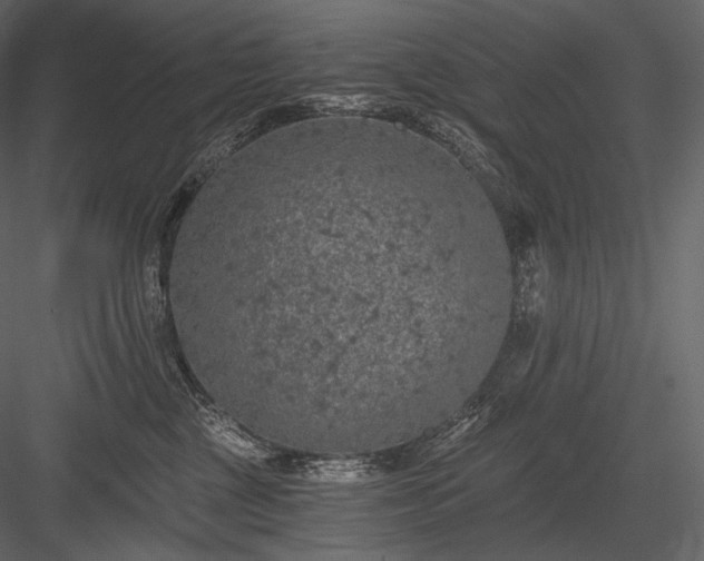 X0000084040377200702232331