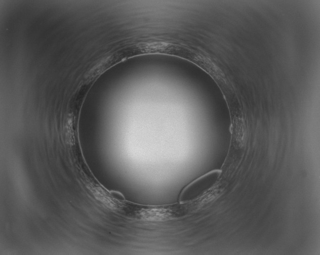 X0000084040378200702232331