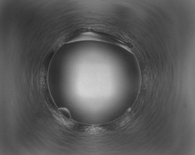 X0000084040379200702232331