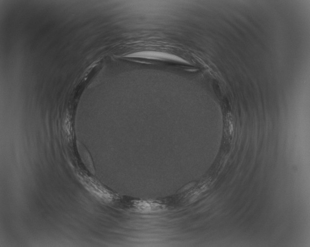 X0000084040380200702232331