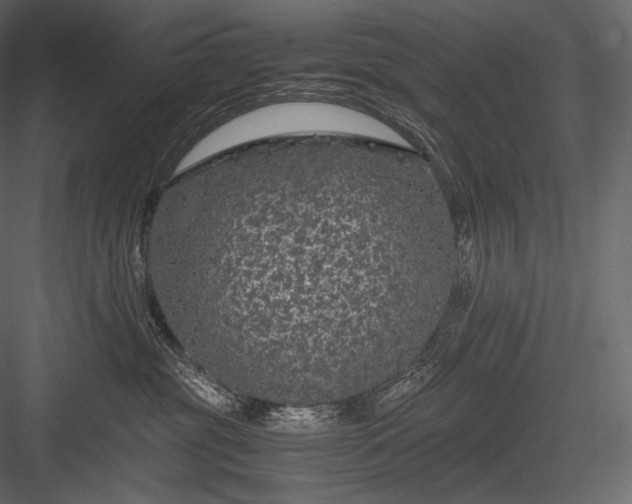 X0000084040381200702232331