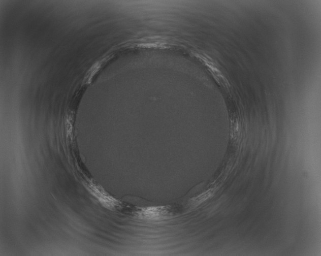 X0000084040382200702232331