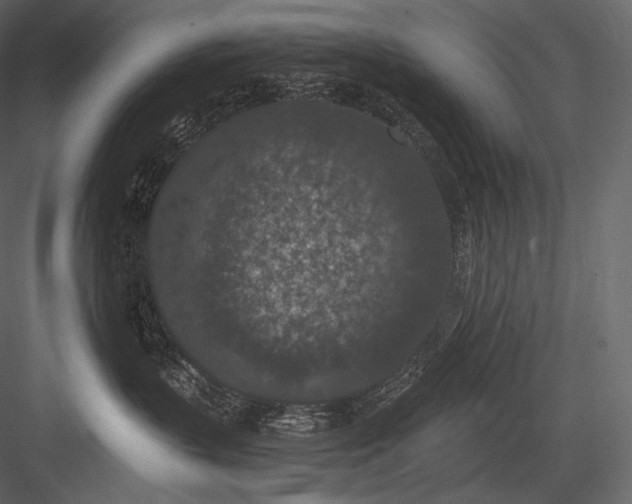 X0000084040383200702232331