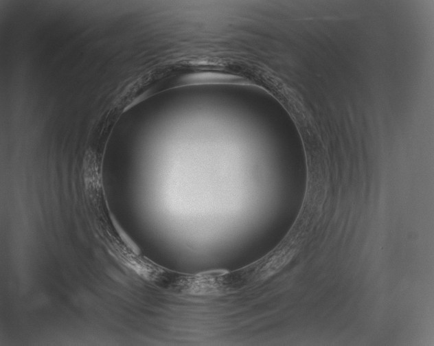 X0000084040384200702232331