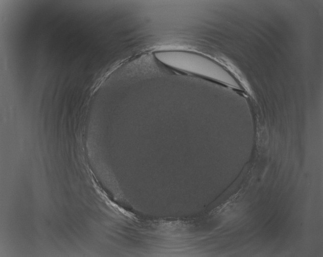 X0000084040385200702232330