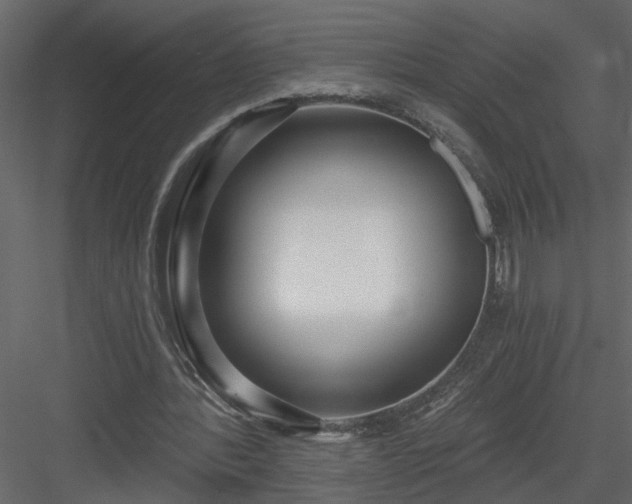 X0000084040388200702232330