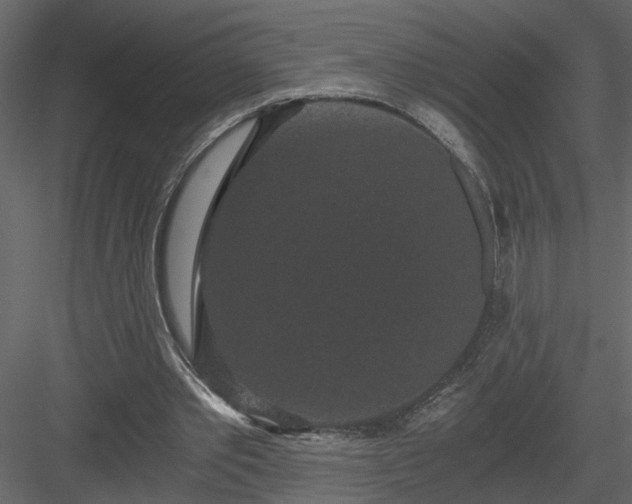 X0000084040389200702232330