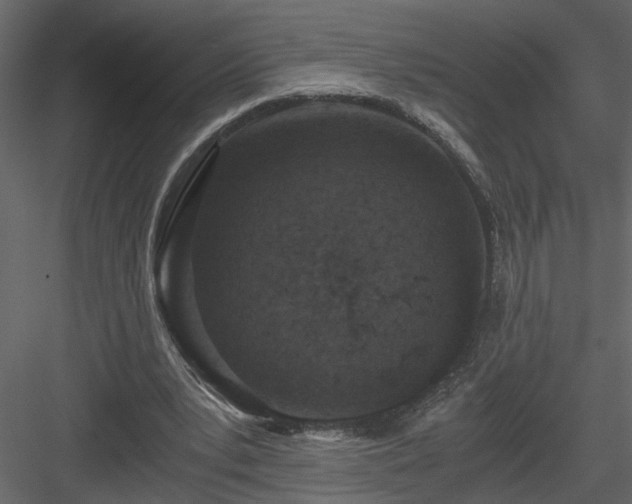 X0000084040391200702232330