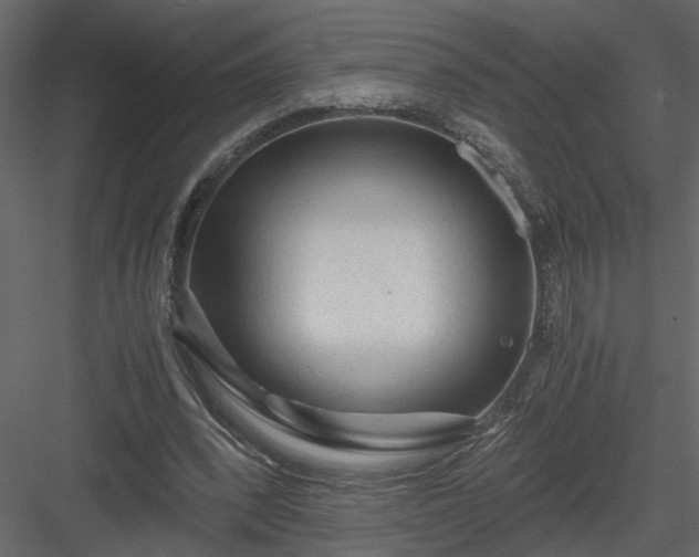 X0000084040392200702232330