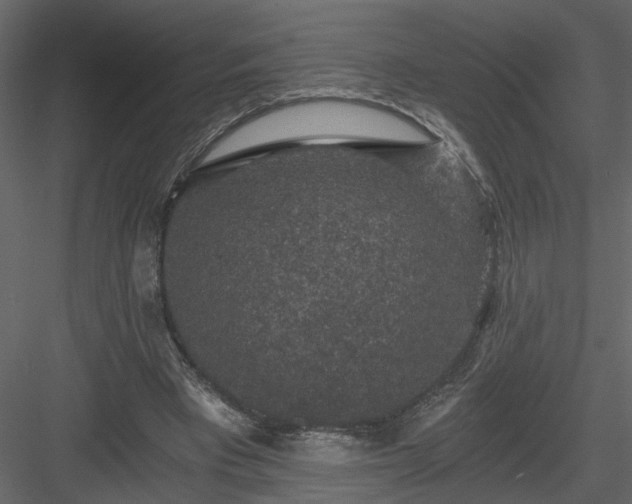 X0000084040393200702232330