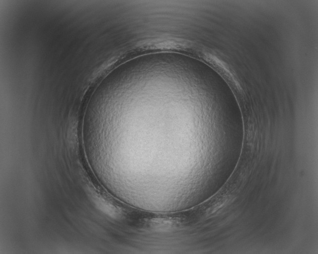 X0000084040394200702232330