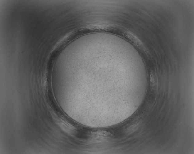 X0000084040396200702232330