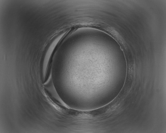 X0000084040397200702232330