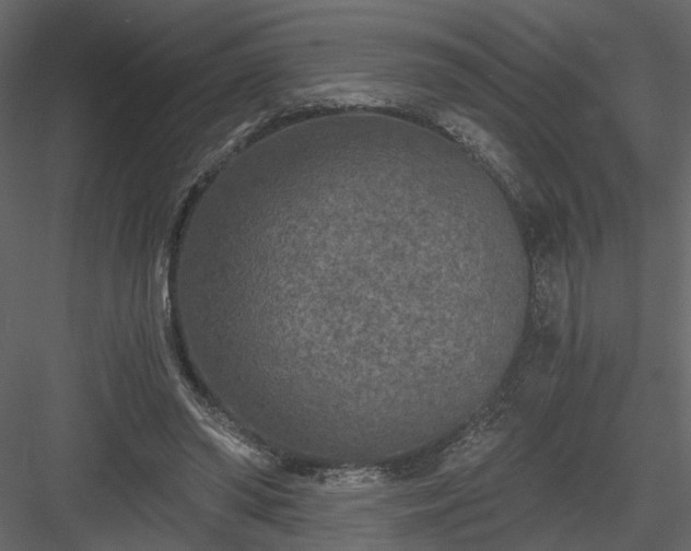 X0000084040398200702232330