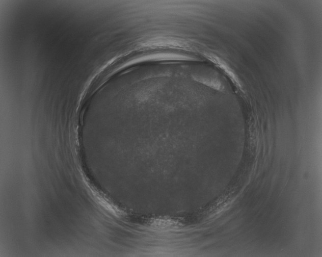 X0000084040399200702232330