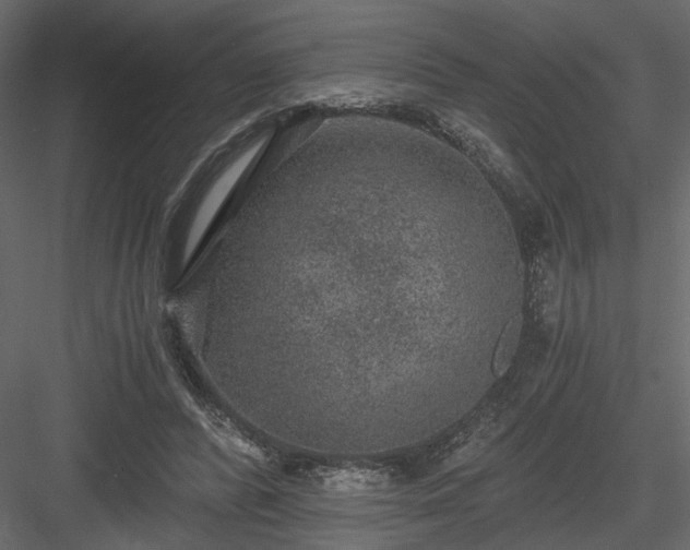 X0000084040400200702232330