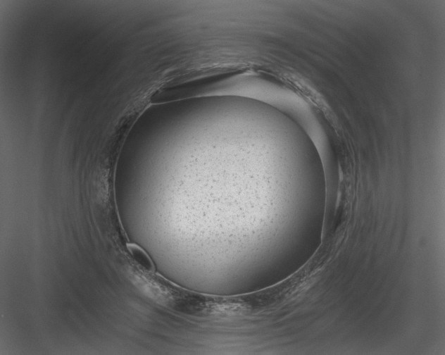 X0000084040401200702232330