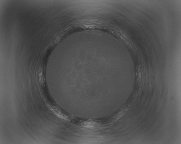 X0000084040408200702232330